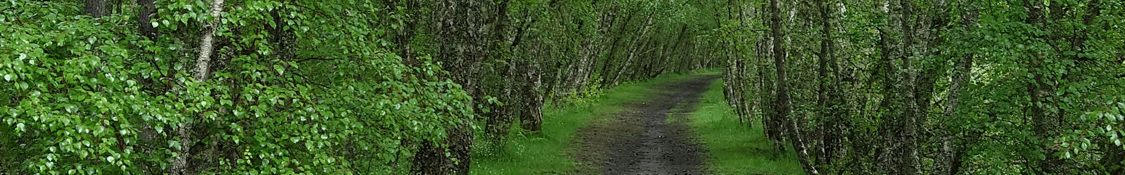 Music Therapy - Path to wellness