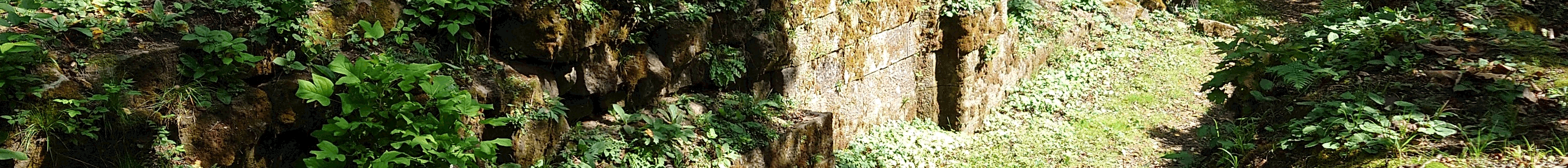 Music Therapy - through the door of wellness