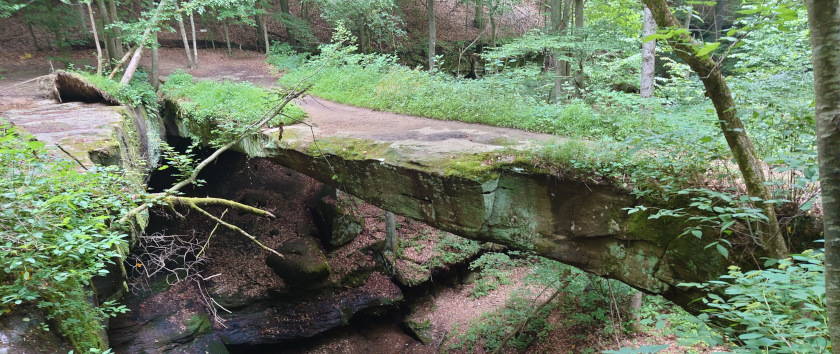Reflextive Sound Bath Journey & Healing with the Horses