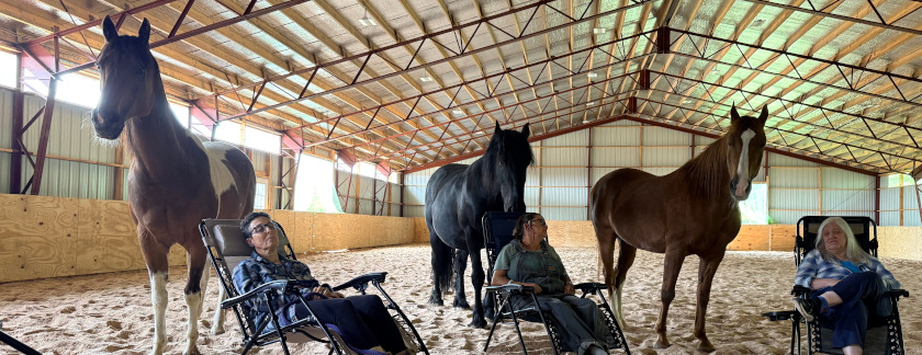 Sound Bath with Horses & Healing with the Horses