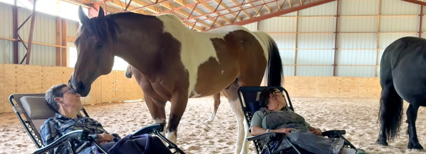 Equine Assisted Sound Bath & Healing with the Horses