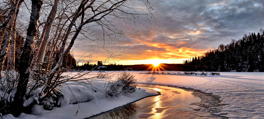 Restorative Sound Bath Journey & Healing with the Horses